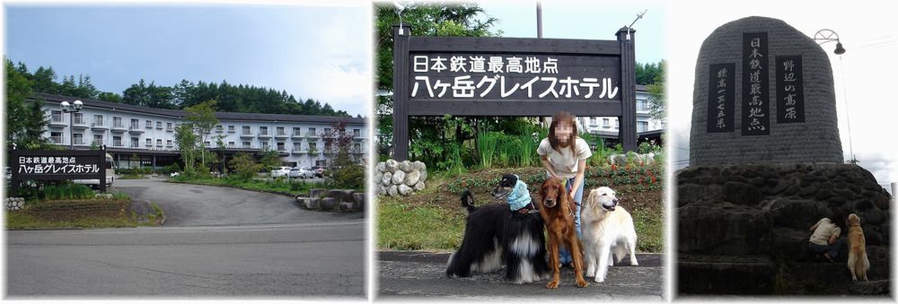 わんこバスの旅　八ヶ岳～清里　本日のお宿～ただいま編_c0059331_0275441.jpg