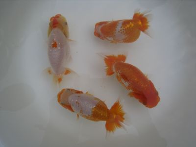 f0155431_22383315.jpg