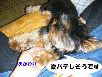 f0008935_14461698.gif