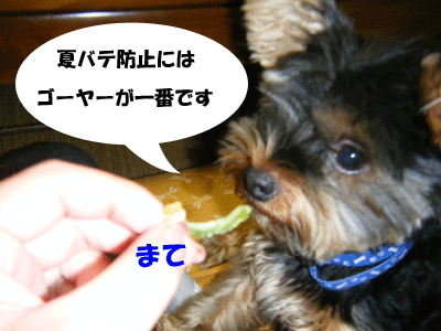 f0008935_14462590.gif