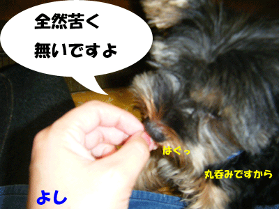 f0008935_14463539.gif