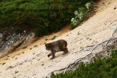 d0055236_1417026.jpg