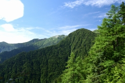 d0055236_156767.jpg