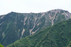 d0055236_17495319.jpg
