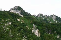 d0055236_17504548.jpg