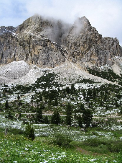 c0051938_98173.jpg