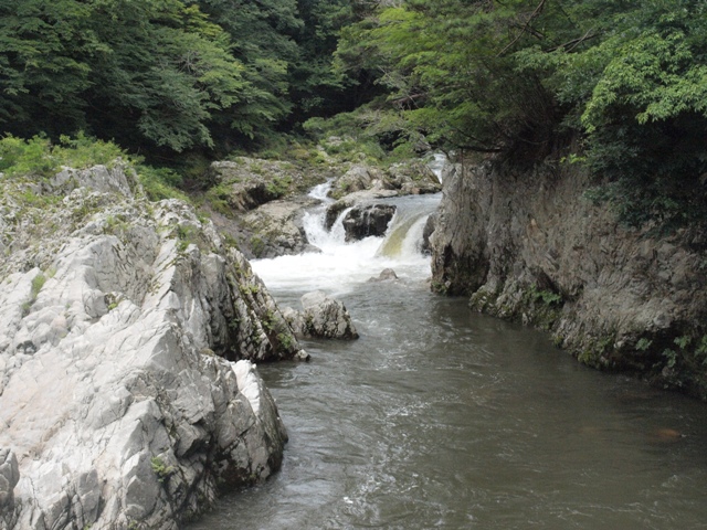 お盆休み犬連れ車中泊の旅　楢葉・夏井川・いわき編_b0080342_702025.jpg