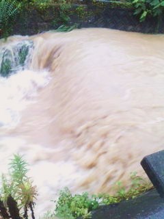 c0174644_1334545.jpg