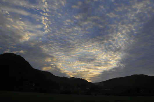 c0093046_10262134.gif