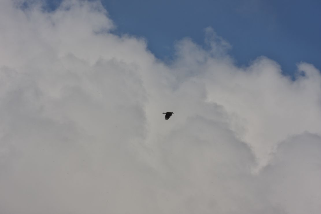 c0008948_15513621.jpg