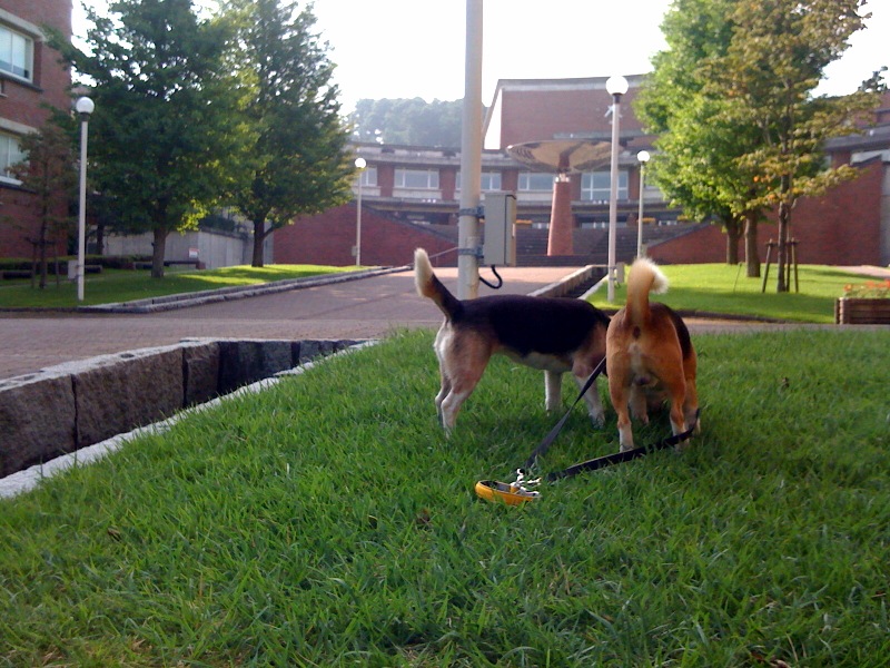 b0005652_17382050.jpg