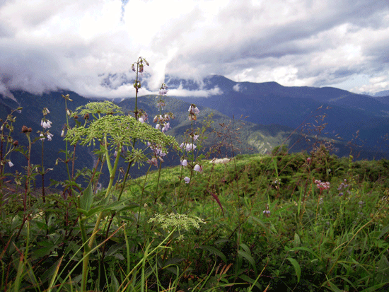 b0005652_18112337.gif