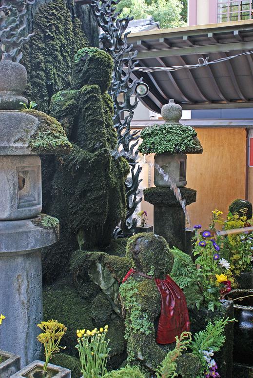 熟睡猫 大阪ミナミ 法善寺横丁 水掛不動 たんぶーらんの戯言 熟睡猫 大阪ミナミ 法善寺横丁 水掛不動 たんぶーらんの戯言