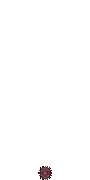 c0119160_1634936.gif