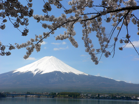 ＜2009年８月５日＞往く夏を惜しむ（その１）：「河口湖・０９花火大会」_c0119160_1913750.jpg