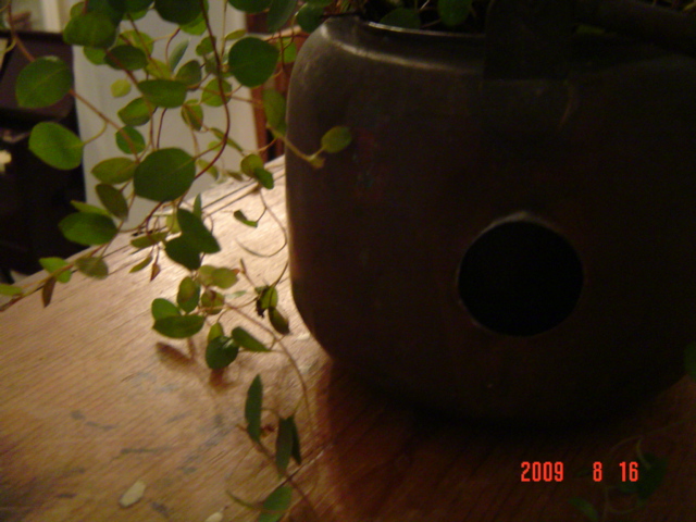 c0172261_22314367.jpg