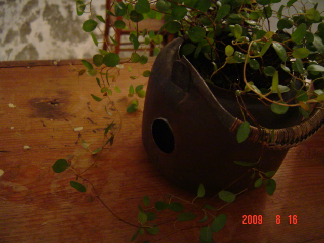 c0172261_22321080.jpg