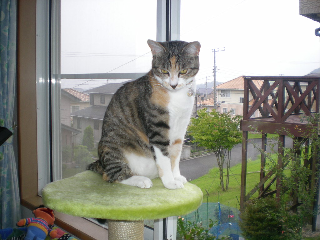 2009年8月16日(日)ヨガ教室と秋の空!_f0060461_22173376.jpg