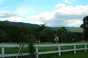 f0139963_1356262.jpg