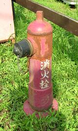 f0139963_6564694.jpg