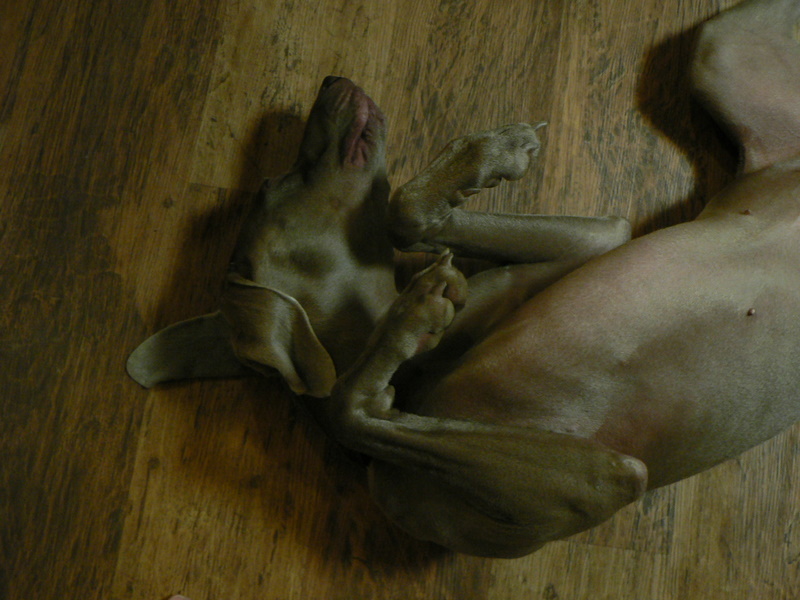 f0065568_20152521.jpg