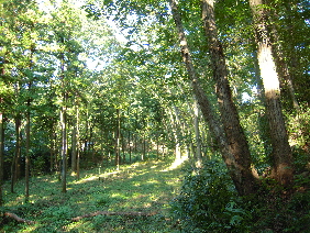 寄居へ行ってきた。_e0033570_21224123.jpg