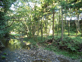 寄居へ行ってきた。_e0033570_21233454.jpg