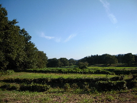 寄居へ行ってきた。_e0033570_21262730.jpg
