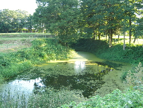 寄居へ行ってきた。_e0033570_21364225.jpg