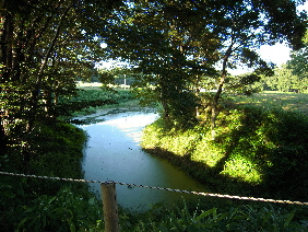 寄居へ行ってきた。_e0033570_21371637.jpg