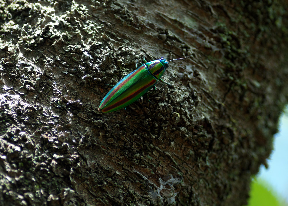 c0096278_2210173.jpg