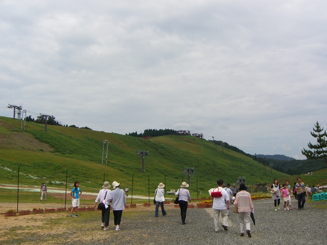 甘エビ食べ放題♪ロレイヒ~♪_f0201488_21134491.jpg