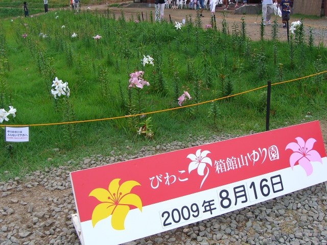 甘エビ食べ放題♪ロレイヒ~♪_f0201488_21184329.jpg