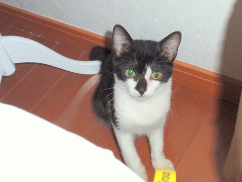 c0132289_2119415.jpg