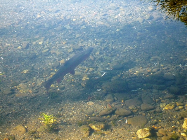a0127090_23121071.jpg
