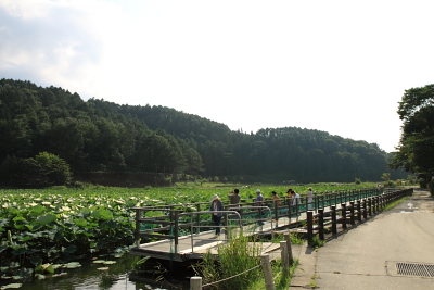 c0193896_22542437.jpg