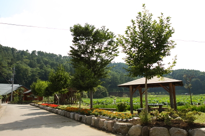 c0193896_22553120.jpg