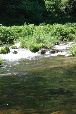 a0114901_2325782.jpg