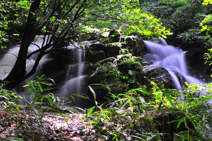 b0158403_948566.jpg