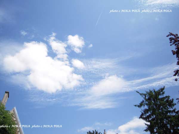 秋の空 秋の風_b0164803_16205927.jpg