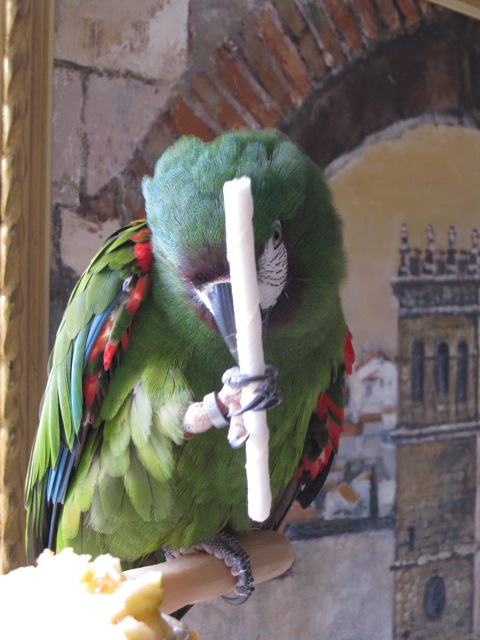 d0081210_1058518.jpg