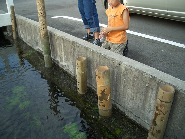 f0141310_23355645.jpg