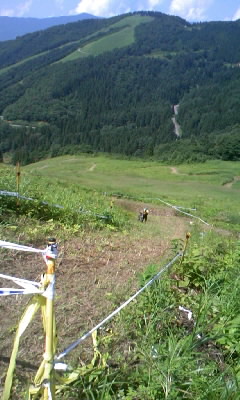 c0175712_2138516.jpg