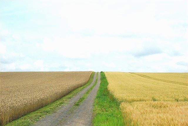 c0116714_1522494.jpg