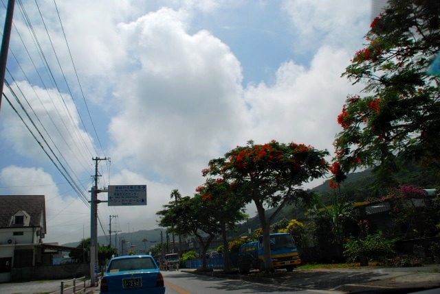 d0065116_22112854.jpg