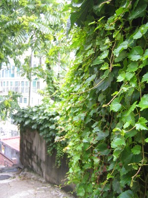 c0054118_22565885.jpg