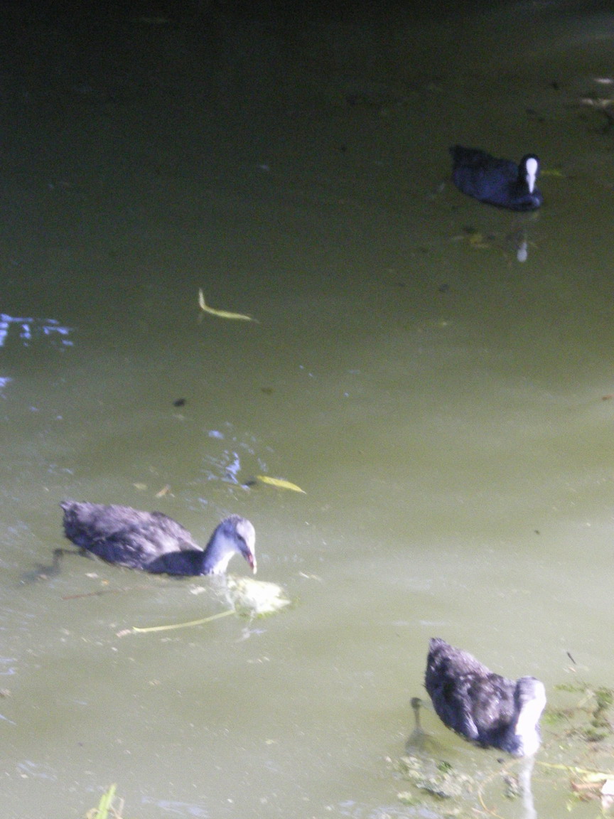 c0124619_2334778.jpg