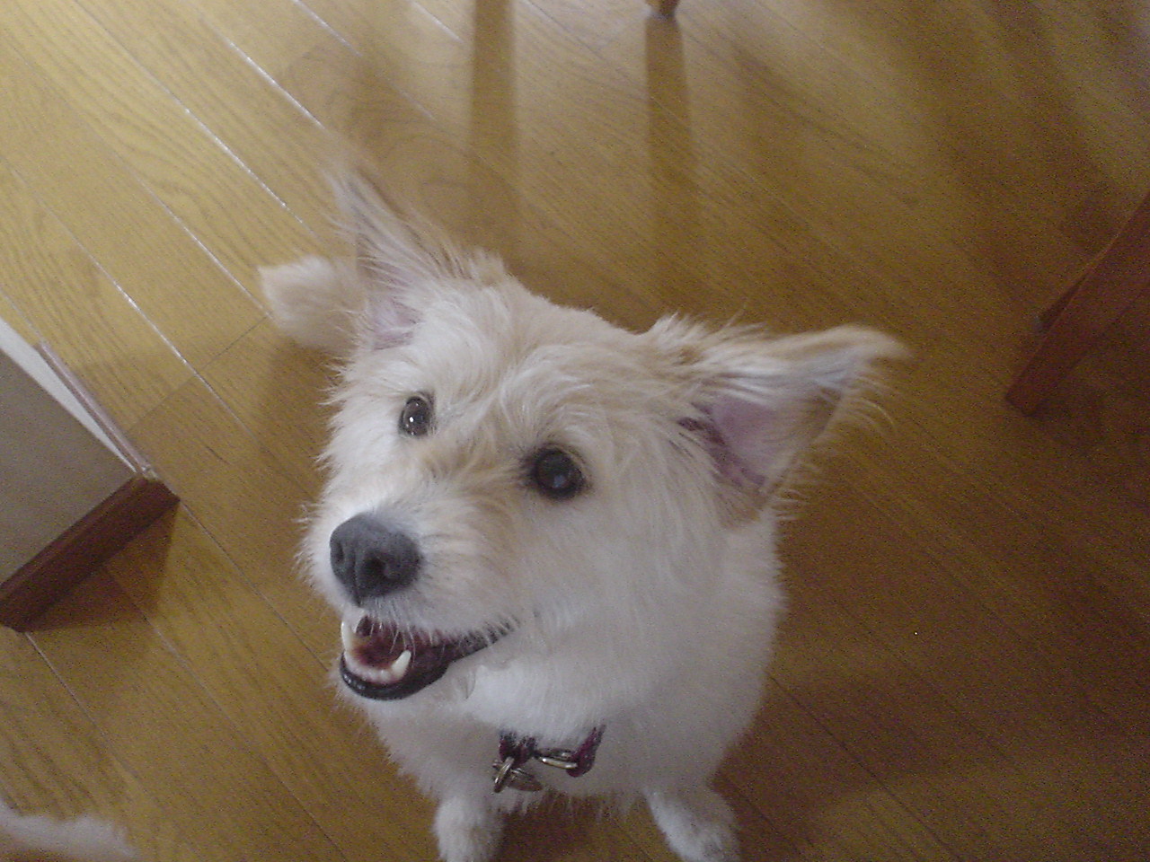 c0150520_21331450.jpg