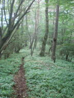 f0177521_12322029.jpg