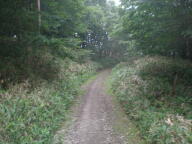 f0177521_12325196.jpg